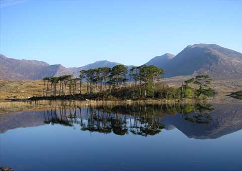 About Connemara